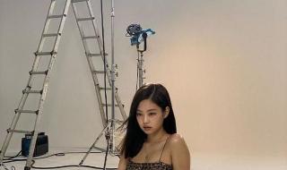 jennie属什么