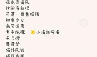 女生网名唯美小清新四个字