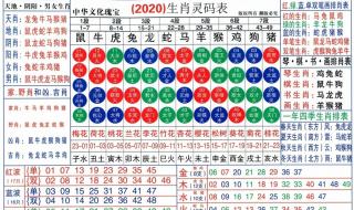 2022年几月开始进入兔年